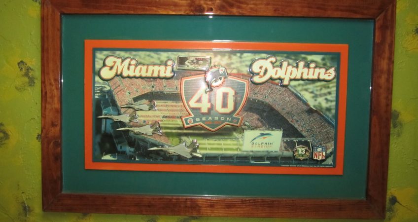 Dolphin 1  